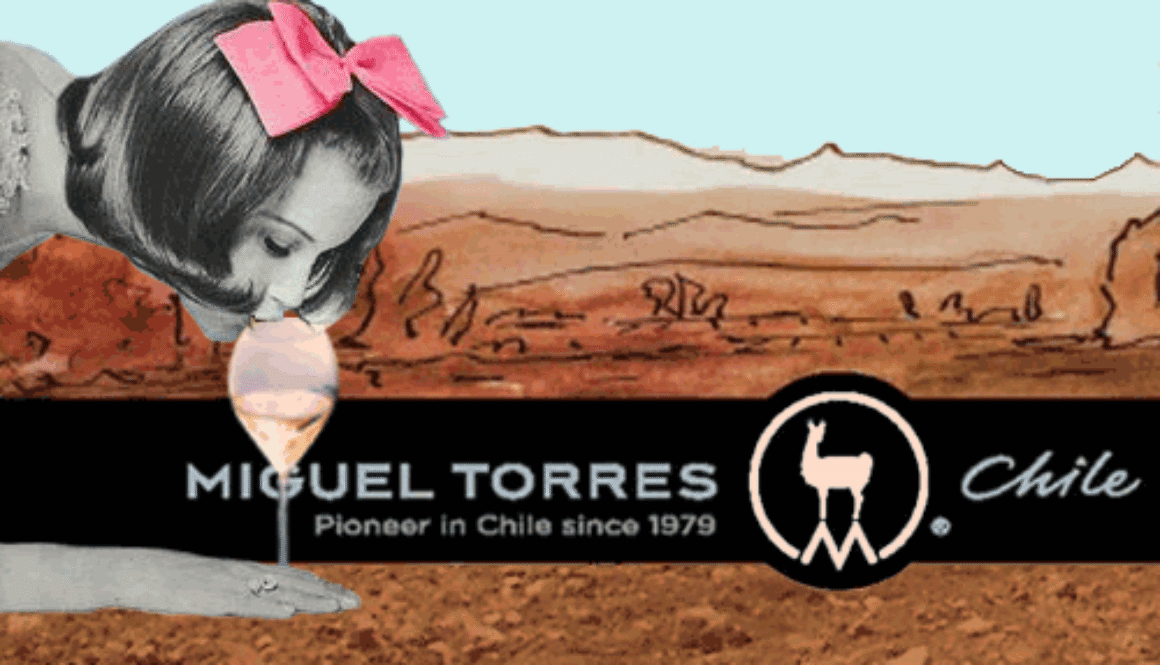 Miguel-torres-chile-history-pais-grape-project