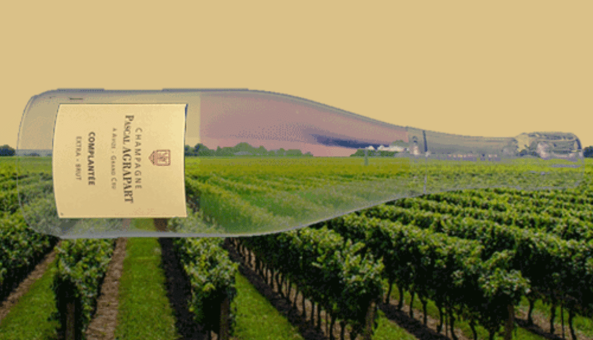 featured-Agrapart-Champagne-Complantee