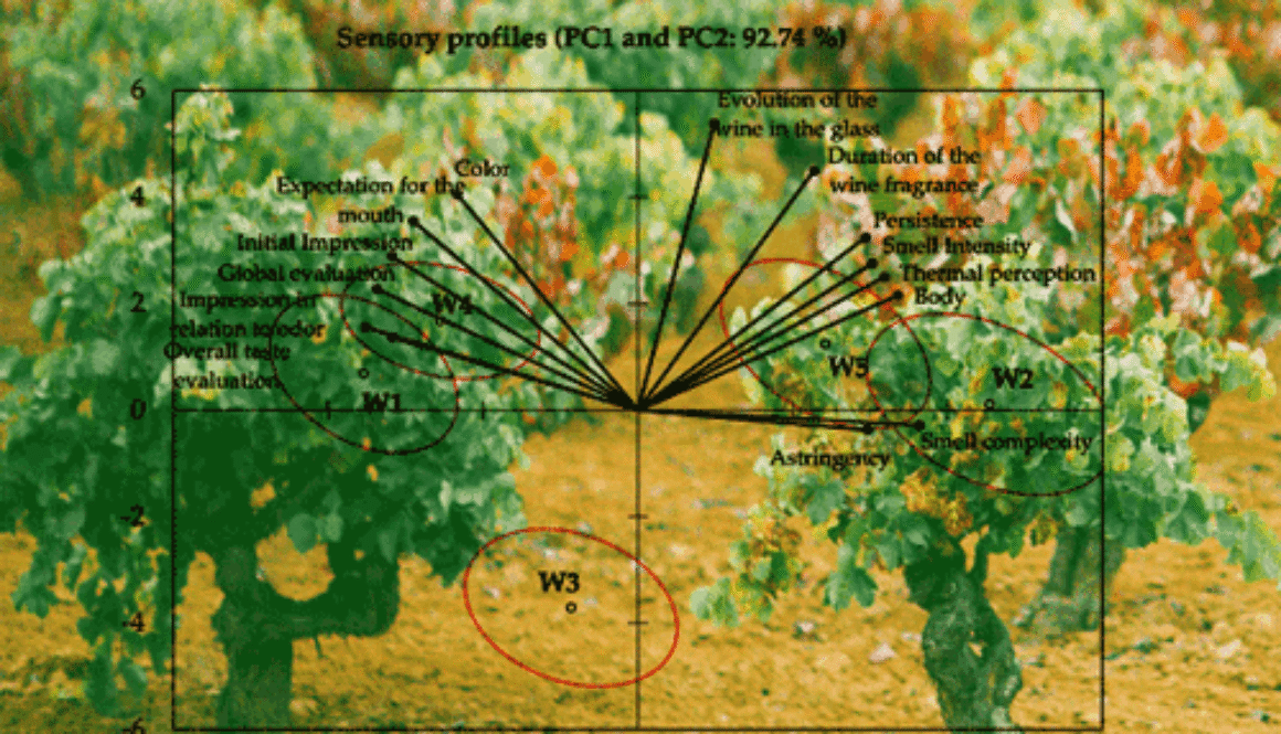 featured wine-typicity