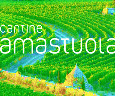 featured-image-winejus Masseria-Amastuola-vineyards